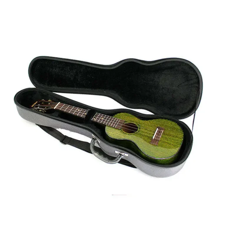 Guitar Case